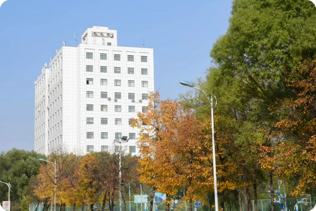 哪里有适合初学者的篮球训练管理指南_1